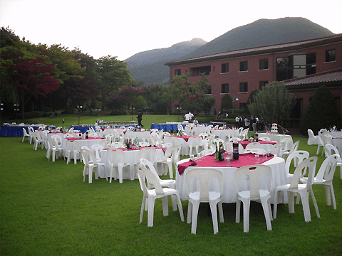 ٵϴȸ (Ｚȭ ٵϴȸ )