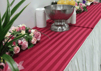 ������ ����