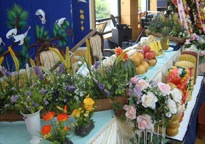 ȸ����� �������� ����