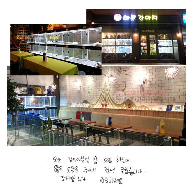  о缥 ϴµ   ּż  ߽ϴ.
մϴ. âϼ.